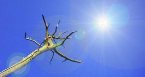 Emergenza climatica