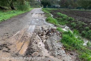 Montefiascone - La strada in località Caversa
