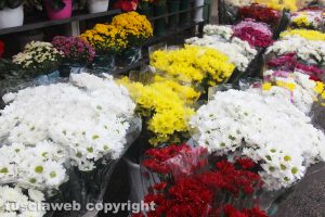 Fiori per il cimitero