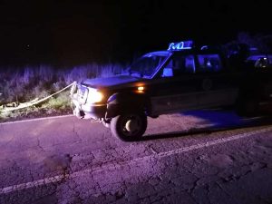 San Lorenzo Nuovo – Cane investito, salvato dalla protezione civile