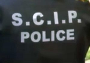 Direzione centrale della polizia criminale
