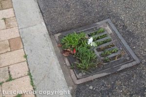 Viterbo - Un tombino otturato in via Raffaello