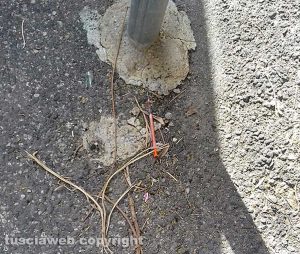 Viterbo - Siringhe in strada a via Adamello