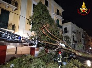 Maltempo - Albero crollato contro un'abitazione