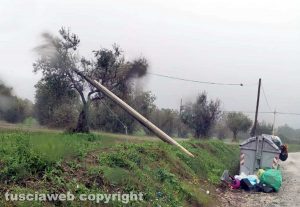 Viterbo - Il palo caduto in strada Pian di Tortora