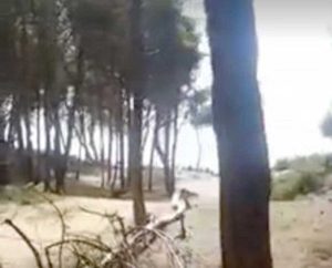 Orbetello - La Feniglia, immagine di repertorio