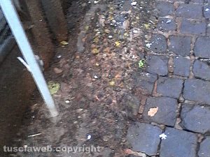 Montefiascone - Via Bixio piena di guano