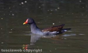 Gli scatti di Alina Briciu