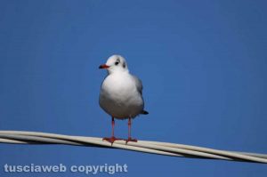 Gli scatti di Alina Briciu