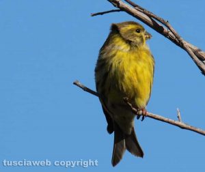 Gli scatti di Alina Briciu