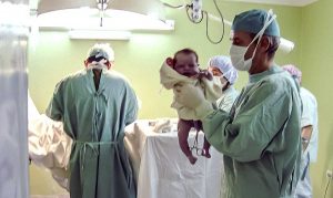 Un bimbo appena venuto al mondo