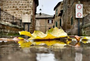Vejano - La poesia dell'autunno - Foto di Jacopo Pasquali