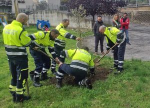 Nepi - Giornata nazionale degli alberi