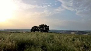 Un panorama della Tuscia