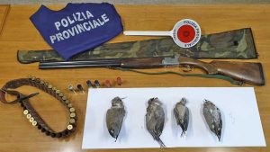 Canino - Armi ed esemplari di tortora dal collare sequestrati dalla polizia provinciale