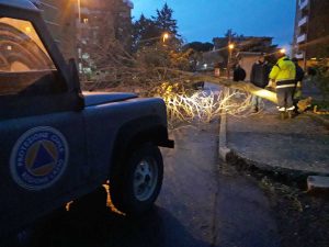 Tarquinia - I volontari dell'Aeopc in azione