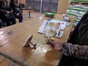 Tarquinia - Il corso per la raccolta dei funghi dell'Università di Agraria