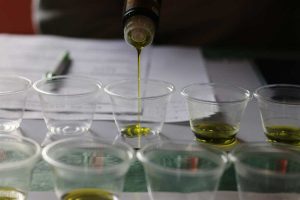 Corchiano - “Extra Eleiva” il primo concorso dedicato agli extravergini locali