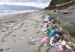 Rifiuti sulla spiaggia della Feniglia