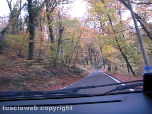 In viaggio nell’autunno della Valle di Vico...