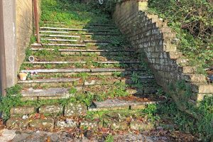 Ischia di Castro - Incuria al cimitero