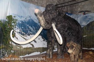 Viterbo - La mostra Era glaciale