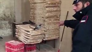 Il panificio in via Guerzoni