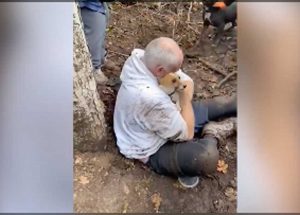 Londra - Dopo due giorni sotto terra liberato un jack russel