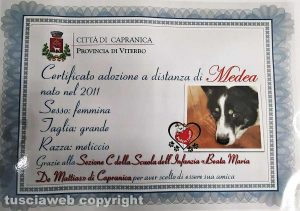 Capranica - I bambini dell'asilo hanno adottato a distanza il cane Medea