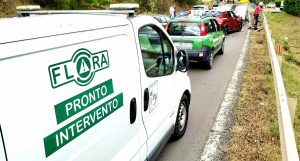 Flora Multiservice