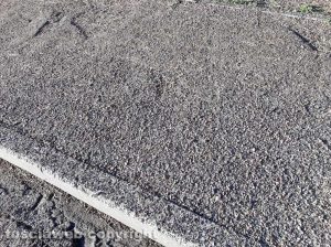 Viterbo - Il guano degli storni in via Diaz