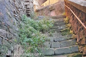 Viterbo - Erbacce in via delle Mole