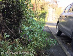 Marciapiede a via Monte Sacro