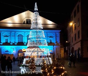 Viterbo - L'albero a piazza del Teatro