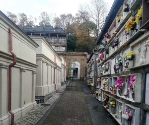Il cimitero di Ischia di Castro