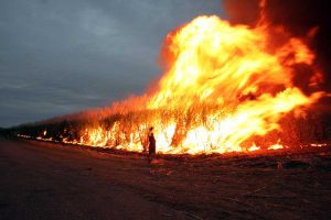 Incendi in Australia