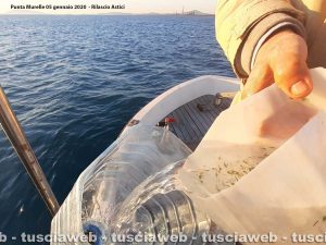 Tarquinia - Ripopolamento degli astici