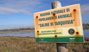 Tarquinia - La riserva delle Saline