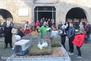 Viterbo - Sant'Antonio Abate, la benedizione degli animali a Pianoscarano