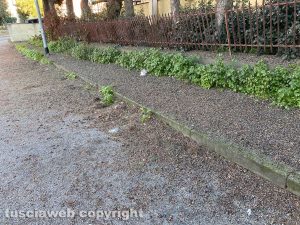 Il guano in via NIno Bixio