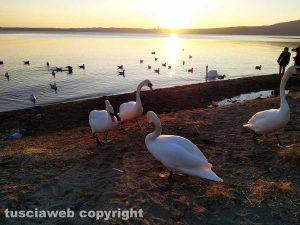 Tramonto sul lago di Trevignano