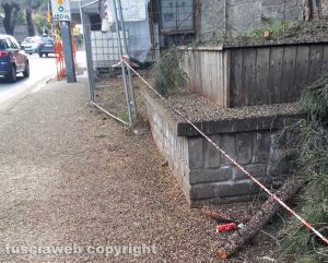 Viterbo - Fermata del bus di Porta Romana invasa dal guano