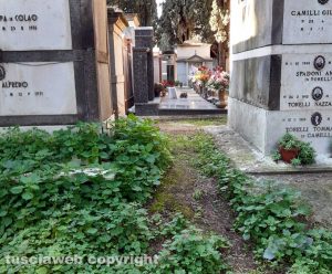 Il cimitero di Viterbo
