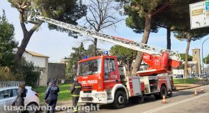 Viterbo - Rami caduti a via Armando Diaz - L'intervento dei vigili del fuoco