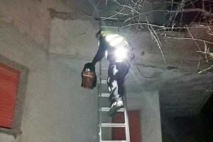 Montefiascone - Gattino intrappolato su un terrazzo - L'intervento delle guardie ecozoofile