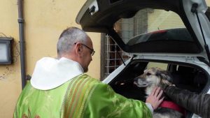 Benedizione degli animali in basilica