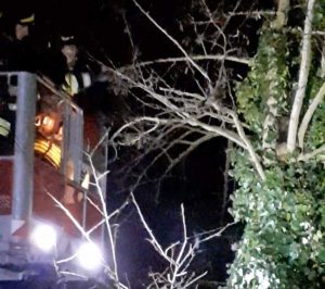 L'intervento dei vigili del fuoco per salvare il gattino