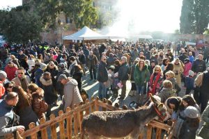 Montalto di Castro festeggia Sant'Antonio Abate