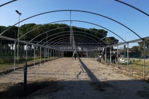 Tarquinia - Il montaggio della serra climatizzata al Cardarelli
