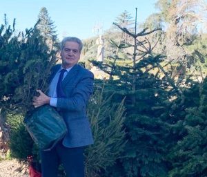 Viterbo - Il sindaco Arena aderisce all'iniziativa 'Salva il tuo albero'